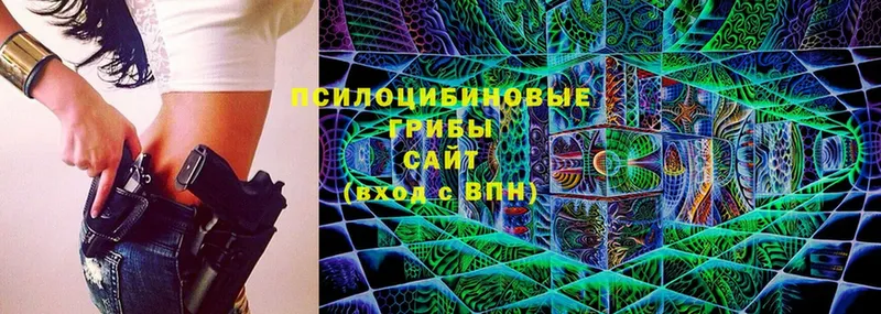 купить наркотики цена  Черногорск  Галлюциногенные грибы Psilocybine cubensis 